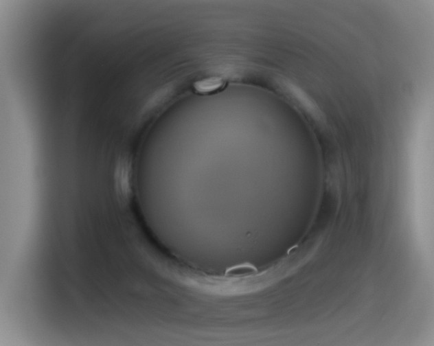 X0000116110023200911231154