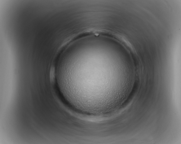 X0000116110024200911231154