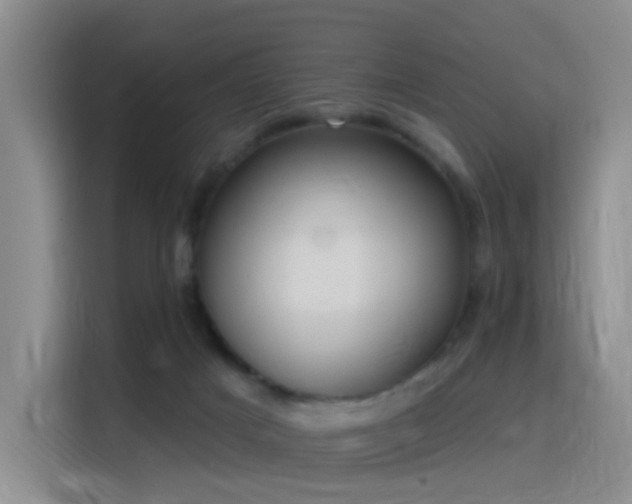 X0000116110025200911231154