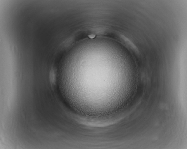 X0000116110026200911231154