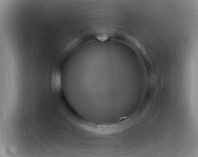 X0000116110027200911231154