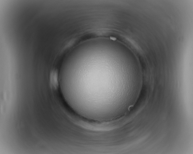 X0000116110028200911231154