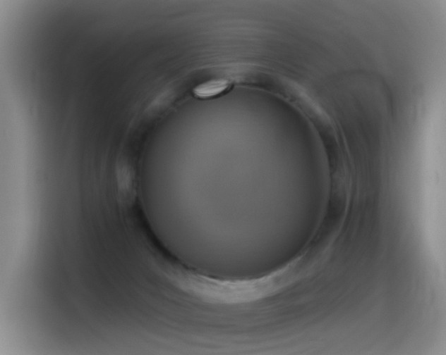 X0000116110031200911231154