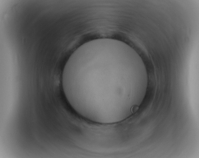 X0000116110032200911231154