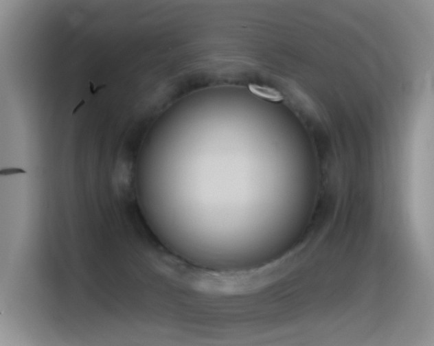 X0000116110033200911231154