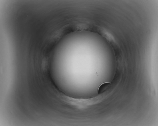 X0000116110034200911231154