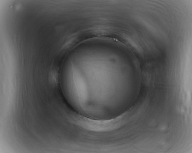 X0000116110035200911231154