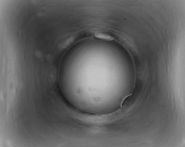 X0000116110036200911231154