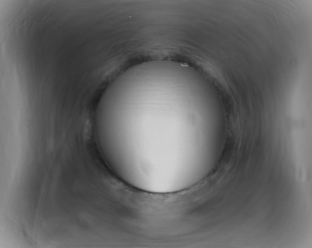 X0000116110037200911231154