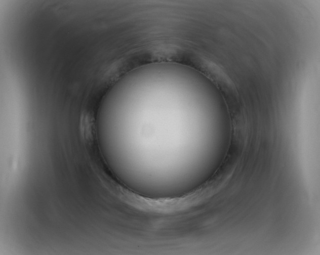 X0000116110038200911231154