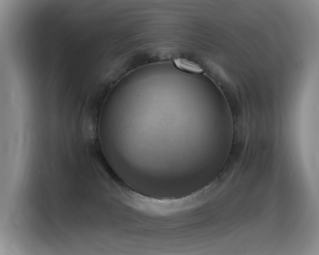 X0000116110039200911231154