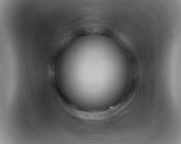 X0000116110040200911231154