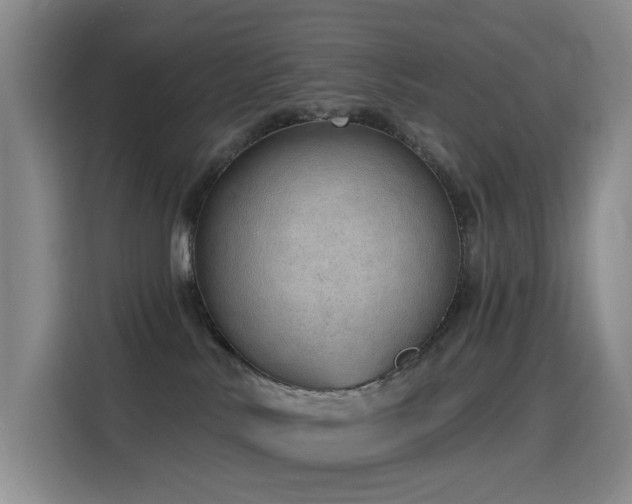 X0000116110042200911231154