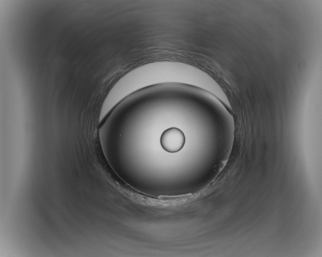 X0000116110043200911231154