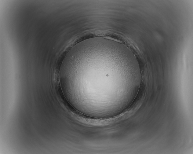 X0000116110044200911231154