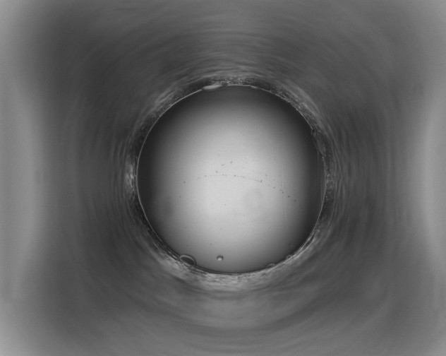 X0000116110045200911231154