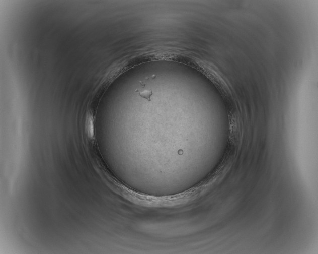 X0000116110046200911231154