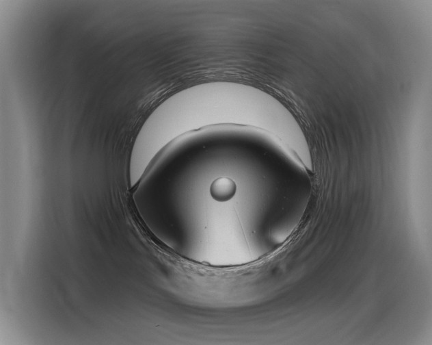 X0000116110047200911231154