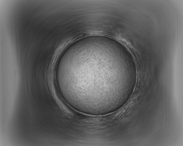 X0000116110049200911231153