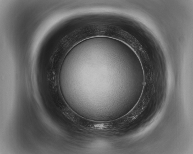 X0000116110050200911231153