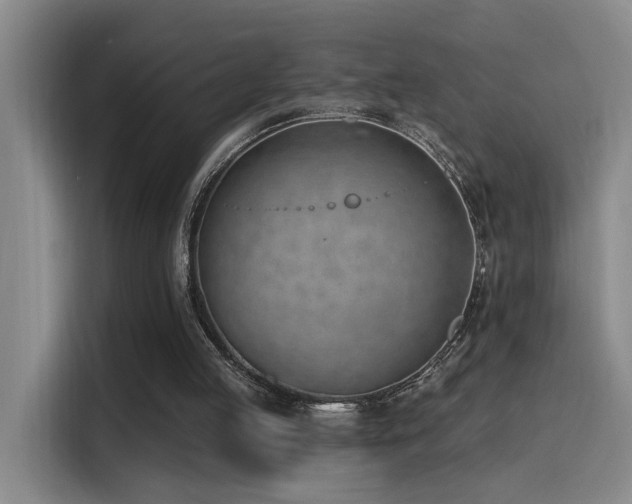 X0000116110053200911231153