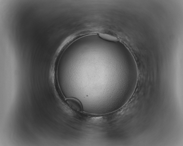 X0000116110054200911231153