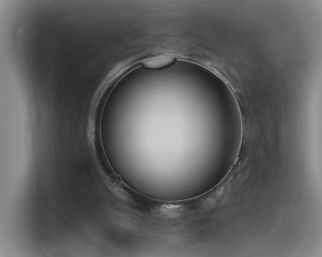 X0000116110055200911231153