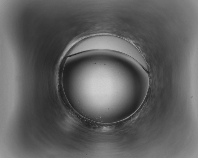 X0000116110056200911231154