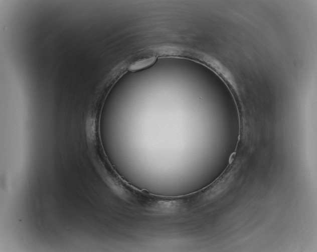 X0000116110057200911231154