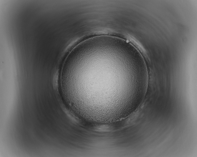 X0000116110058200911231154