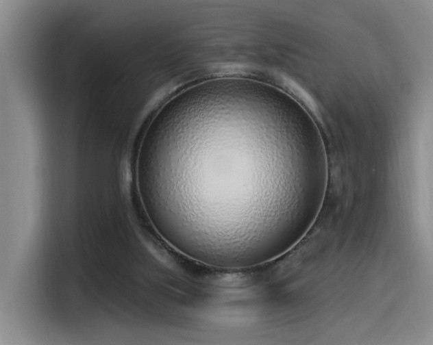 X0000116110059200911231154