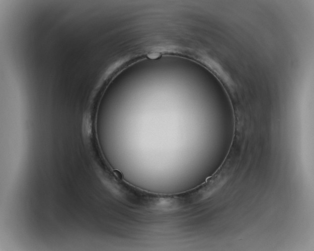 X0000116110060200911231154