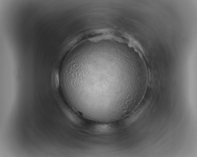 X0000116110061200911231154