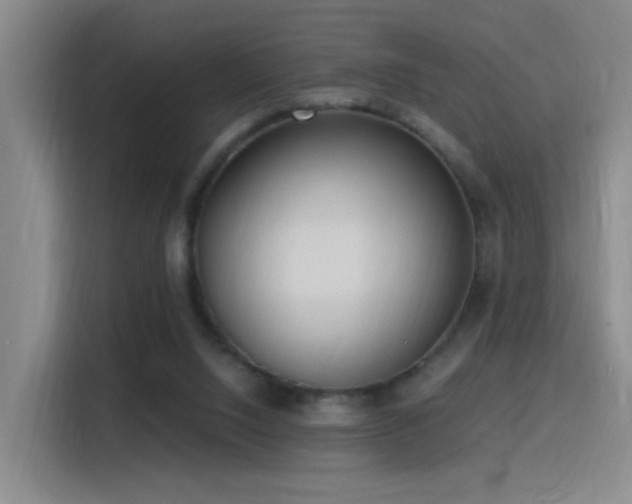 X0000116110064200911231154