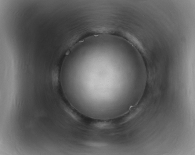 X0000116110065200911231154