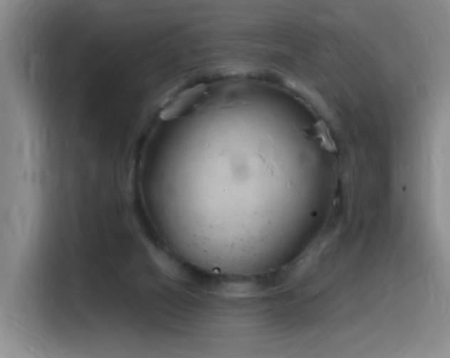 X0000116110066200911231154