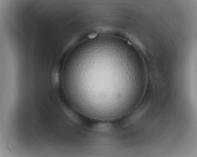 X0000116110067200911231154