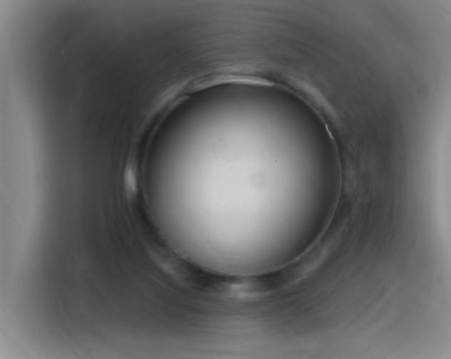 X0000116110068200911231154