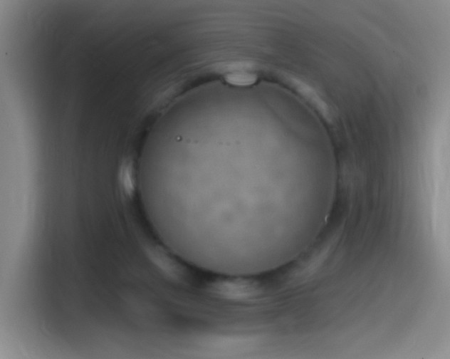 X0000116110069200911231154