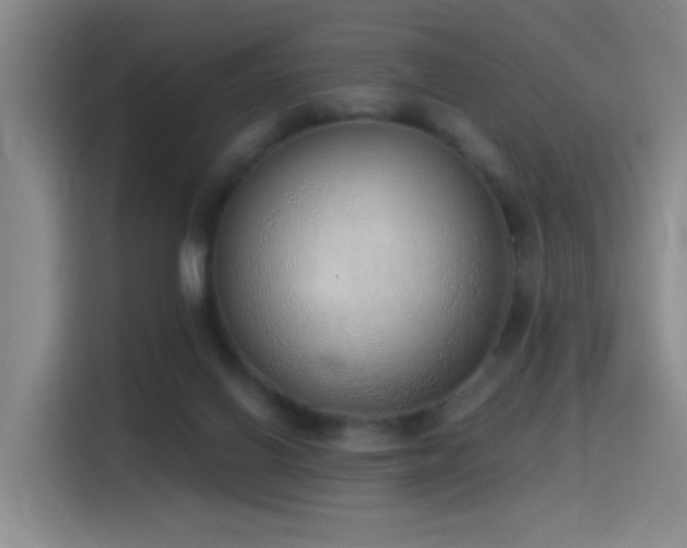 X0000116110070200911231154