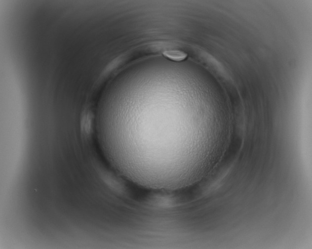 X0000116110071200911231154