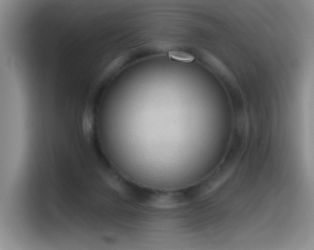 X0000116110072200911231154