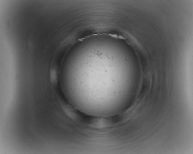 X0000116110074200911231154