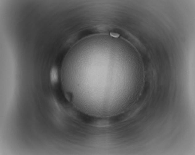 X0000116110075200911231154