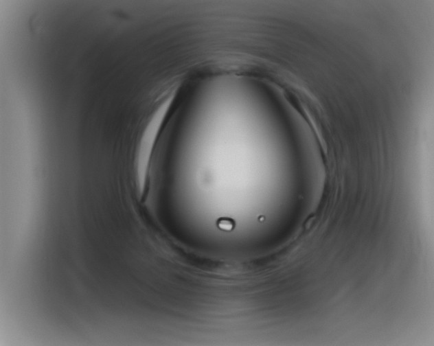 X0000116110076200911231154