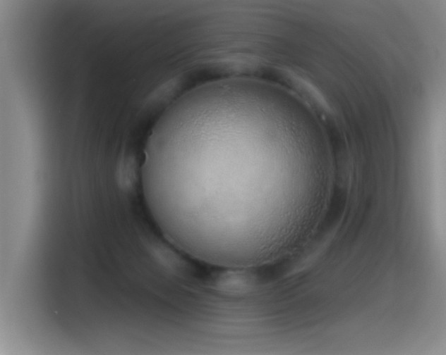 X0000116110077200911231154