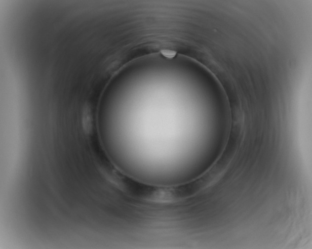 X0000116110080200911231154