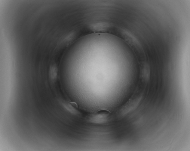 X0000116110081200911231154