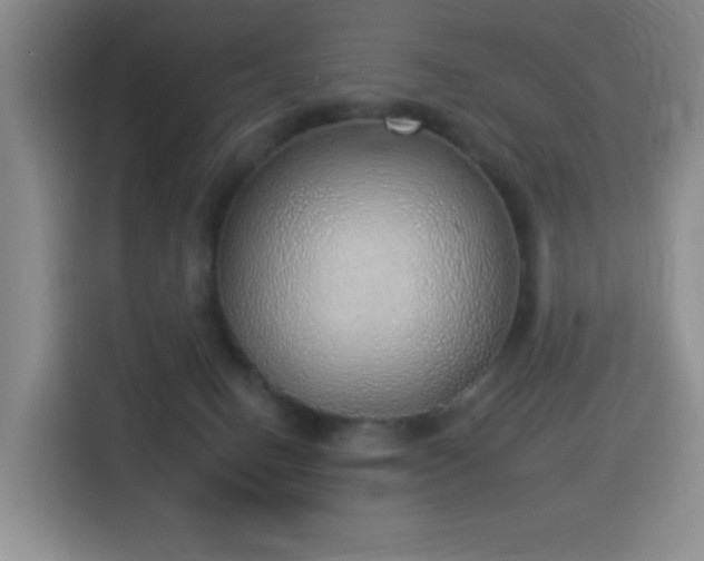 X0000116110082200911231154