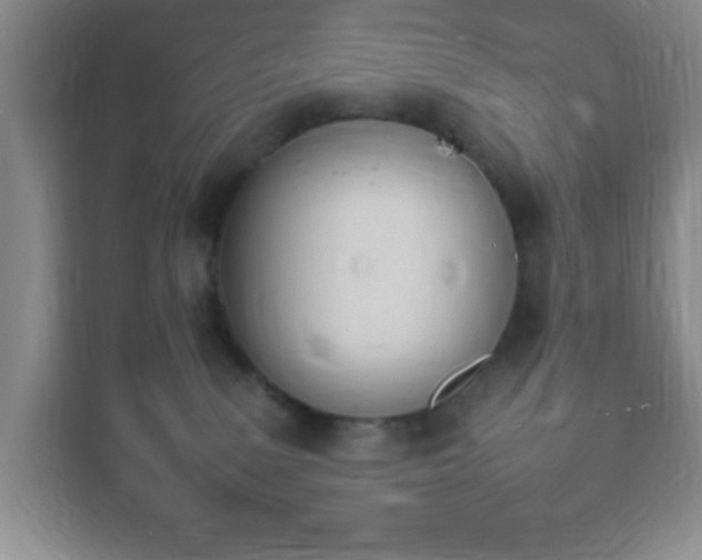 X0000116110083200911231154